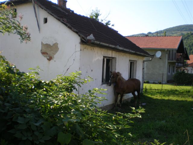046-Sta ima komsija...